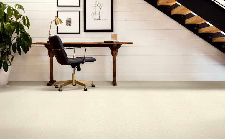 soft white plush carpet in home office in basement